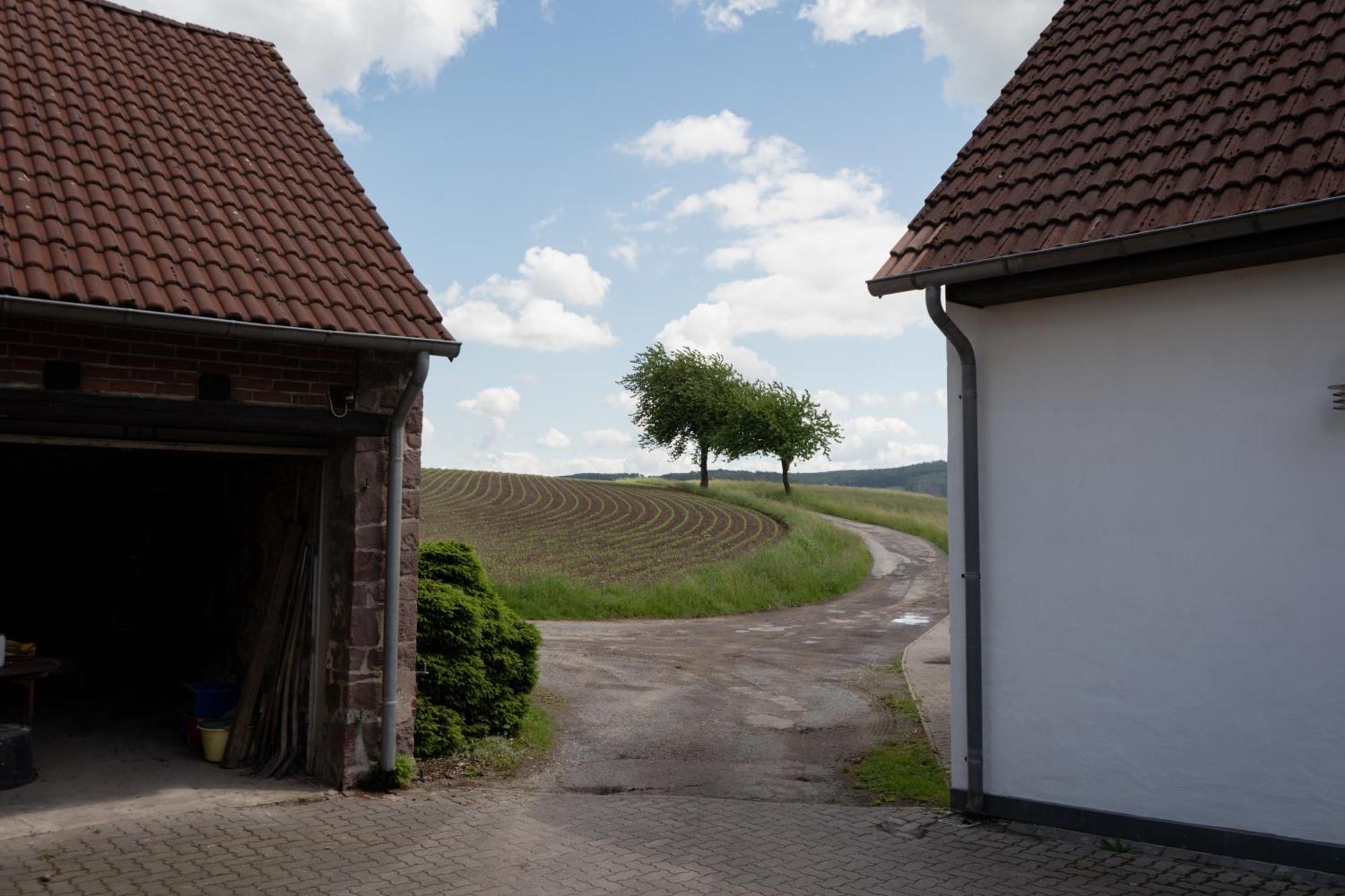 Idyllische Ferienwohnung Im Kalletal Exteriör bild