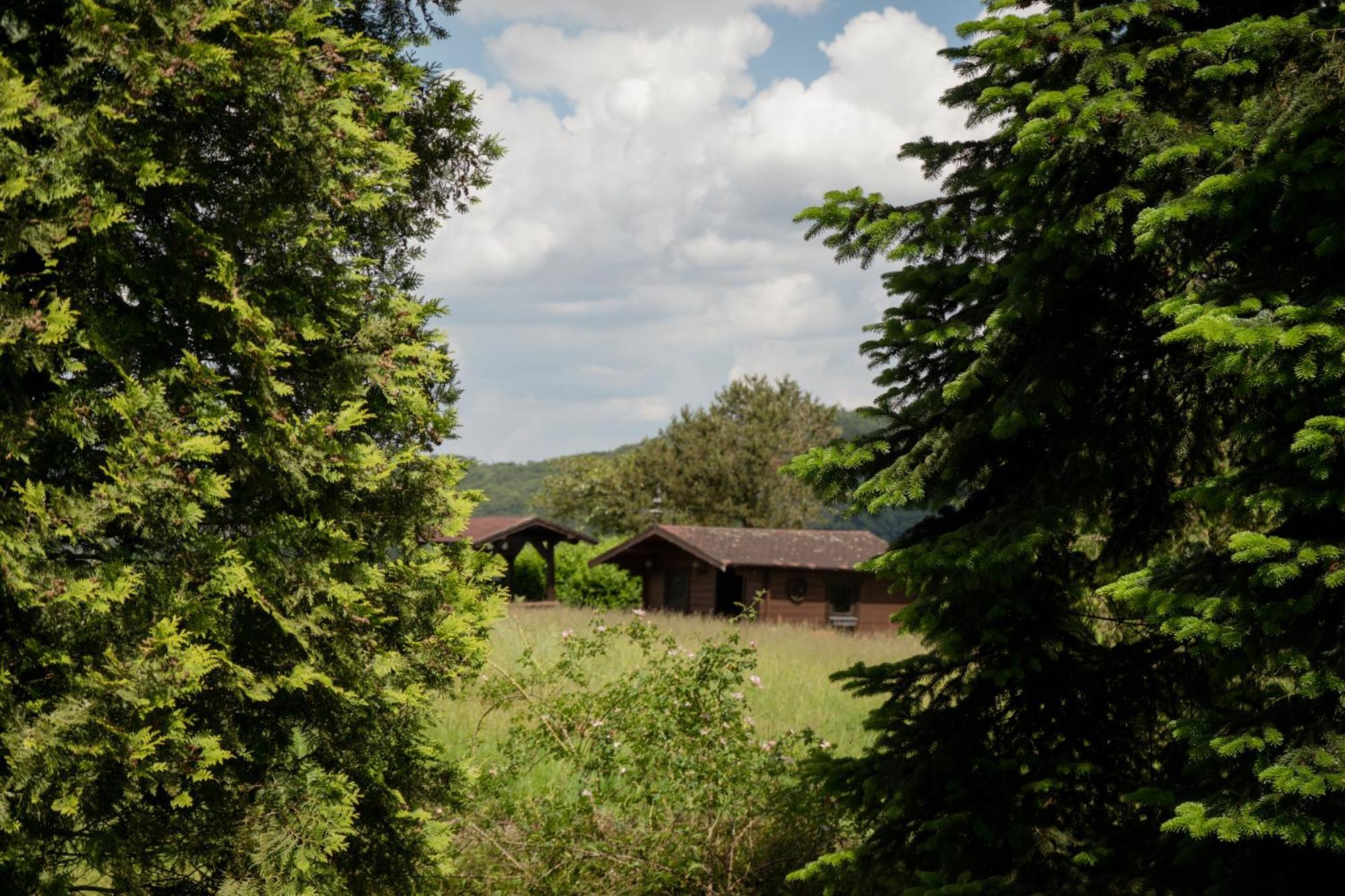 Idyllische Ferienwohnung Im Kalletal Exteriör bild