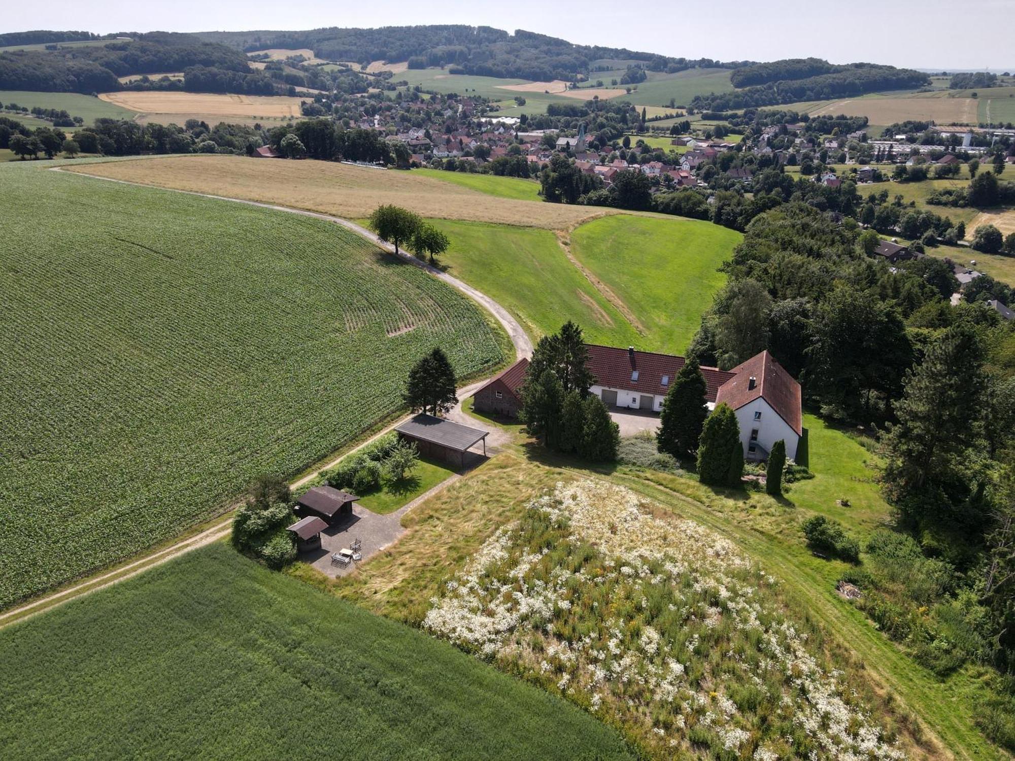 Idyllische Ferienwohnung Im Kalletal Exteriör bild