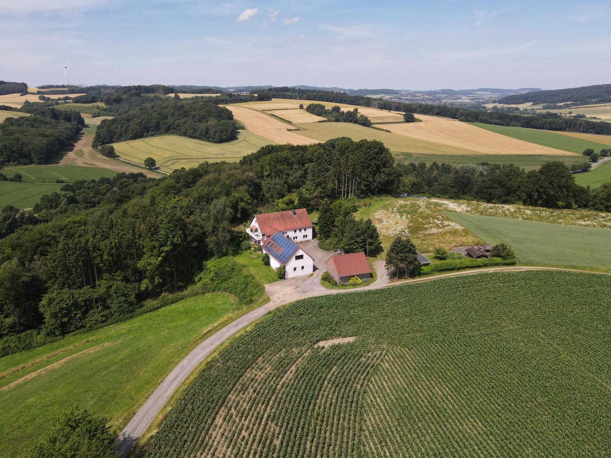 Idyllische Ferienwohnung Im Kalletal Exteriör bild